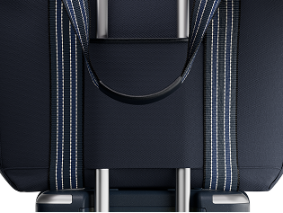 a close-up of a seat belt